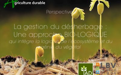 La gestion du désherbage : une approche bio et logique