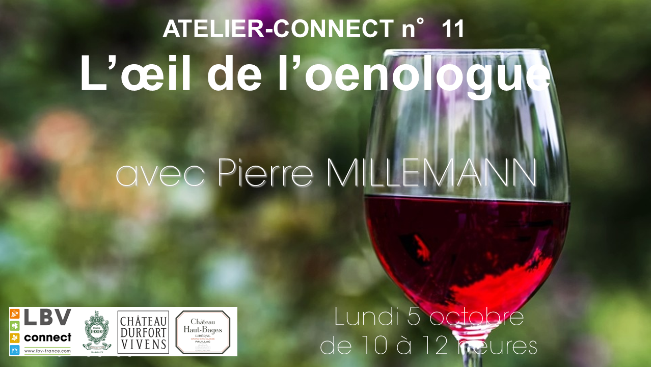 ATELIER CONNECT 5 octobre