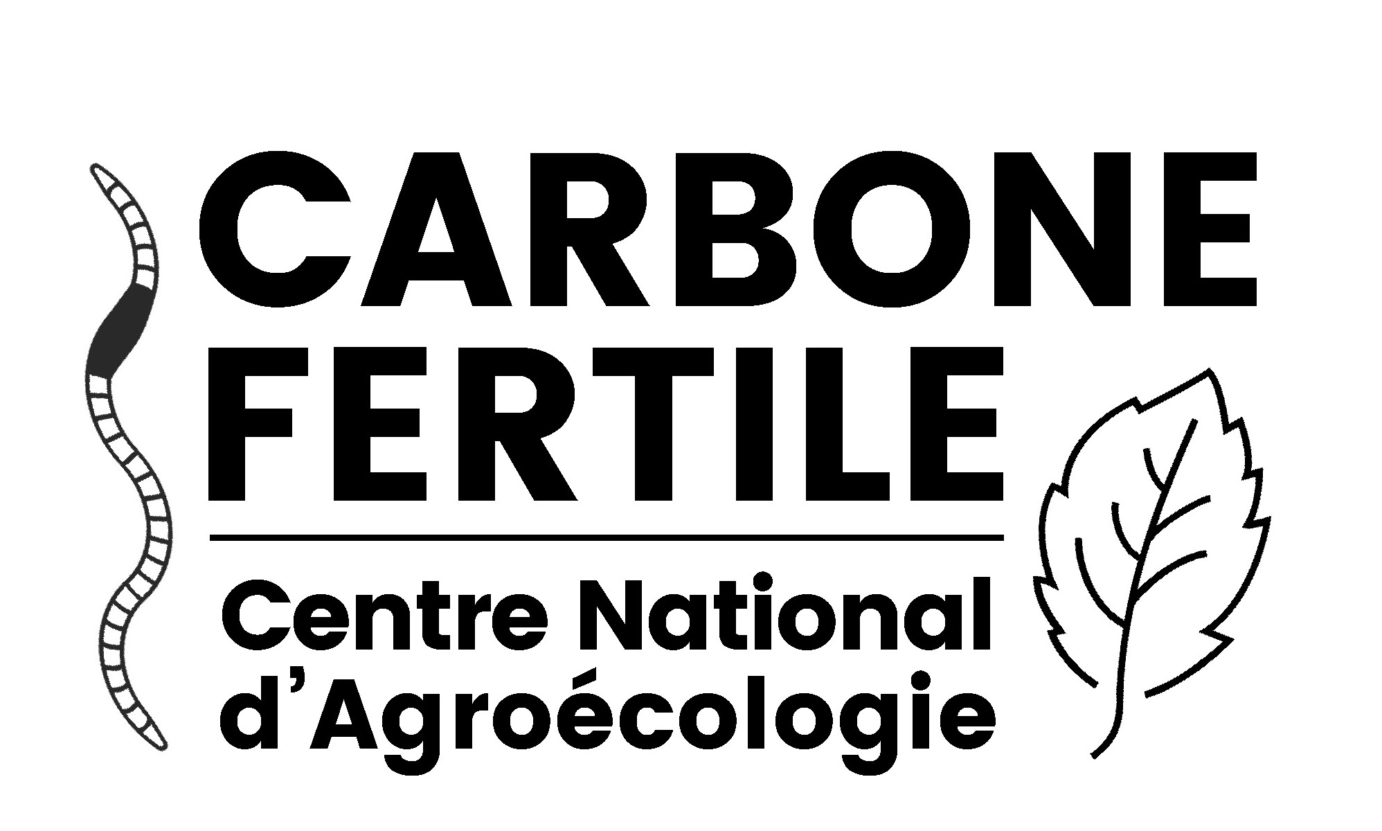 00 CARBONE FERTILE FINAL