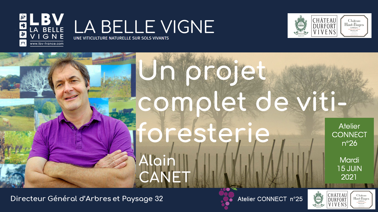 ATELIER 25
