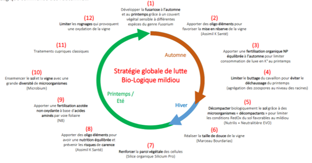 cycle 2