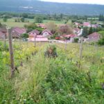 Corentin